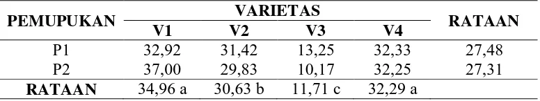 Tabel 6. Rataan Jumlah Bunga/Tanaman (bunga) pada perlakuan varietas dan pemupukan.  