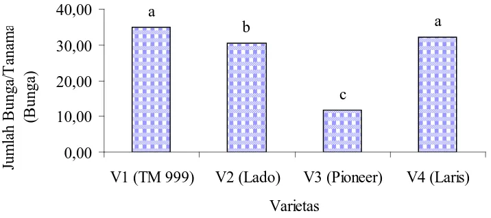 Tabel 7. Rataan Umur Panen (HSPT) pada perlakuan varietas dan pemupukan.  