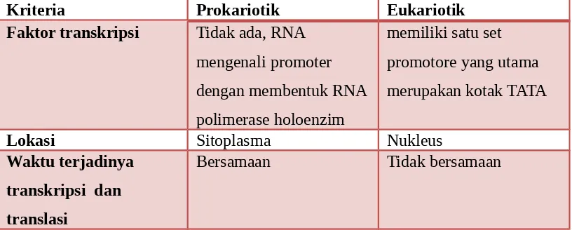 Tabel 2.2.4 Perbedaan Proses Transkripsi Pada Prokariotik Dan