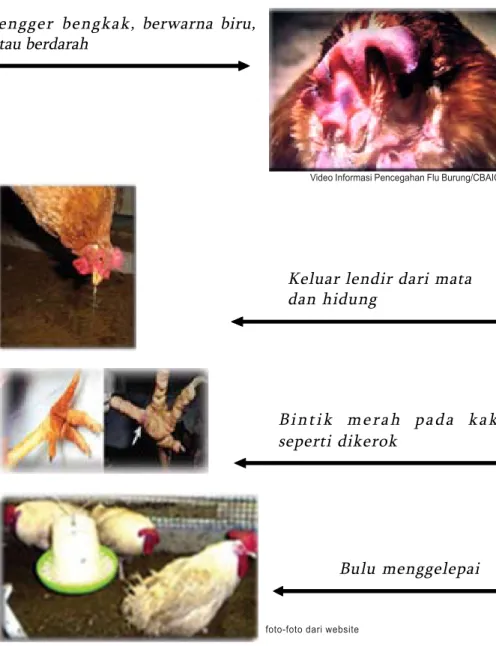 ilustrasi CBAIC