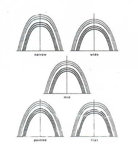 Gambar 9. Bentuk lengkung gigi menurut Raberin1