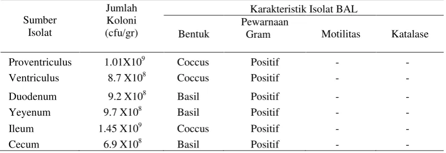 Tabel 6 : Jumlah Koloni BAL dan Karakteristik Isolat BAL  