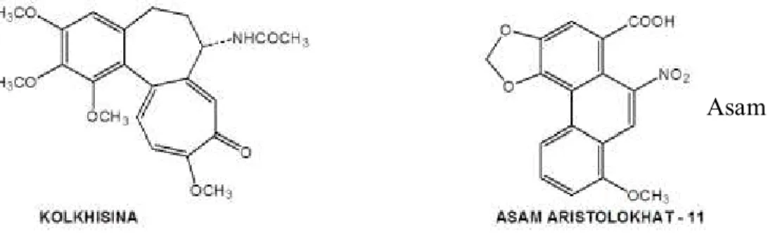 Gambar  4.  Contoh  dari  true  alkaloid:  Kolkhisina  dan  Asam  Aristolokhat. 