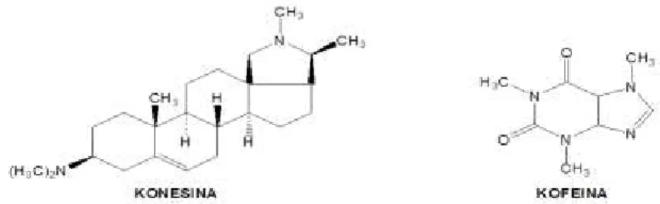 Gambar 5. Contoh dari Pseudo alkaloid: Konesina dan Kafeina. 
