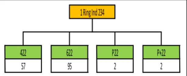 Gambar 1. BOM produk ring untuk firebrick spinal  pabrik Indarung II, III dan IV 