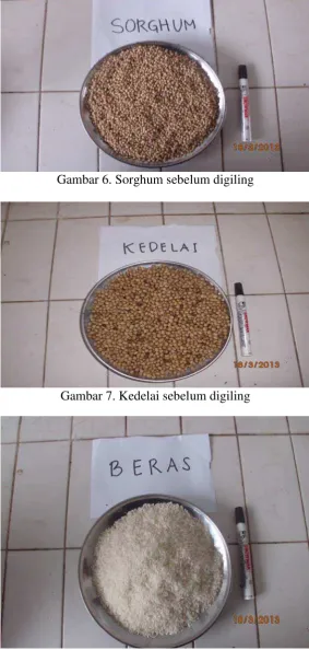 Gambar 6. Sorghum sebelum digiling 
