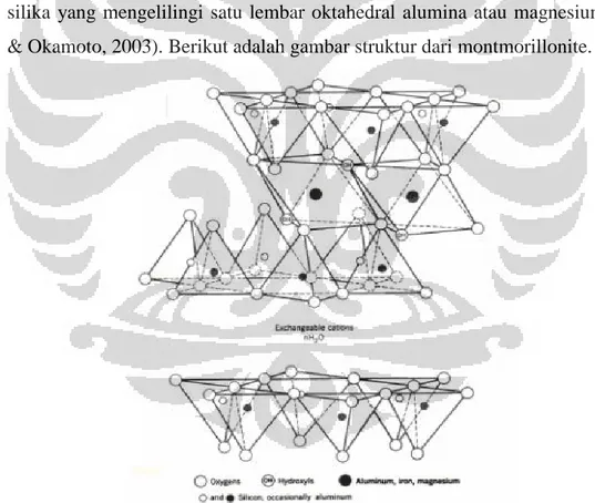 Gambar 2. 3. Struktur Montmorillonite (Elemen et al., 2012) 