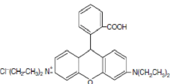 Gambar 2. 10. Struktur Molekul Rhodamin-B (Jain et al.,2007) 