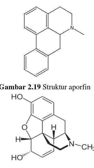 Gambar 2.19 Struktur aporfin 