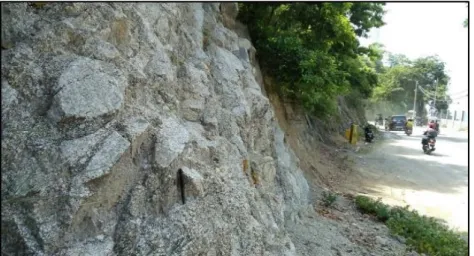 Gambar 2. Batuan Granit 