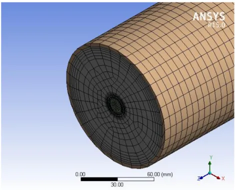 Gambar 3.7. Hasil Meshing 