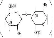 Gambar 2.1Struktur Kitosan, (Mazzarelli, 1977)