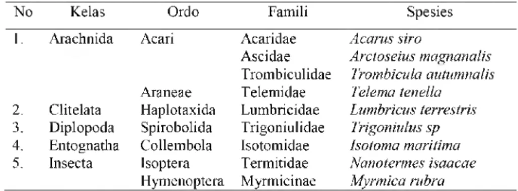 Tabel  3.  Pengelompokan  /  Identifikasi  Arthropoda  Tanah  Pada  Areal  Tanpa  Aplikasi  dan  Dengan  Aplikasi  TKKS.