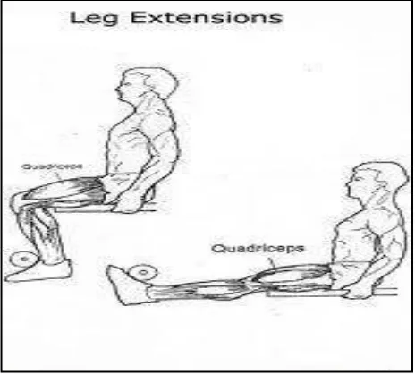 Gambar 3.6. Gerakan leg ekstension  Sumber : Fitnesstool.com 