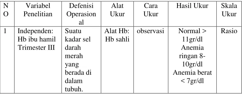 Tabel 1. Defenisi Operasional 