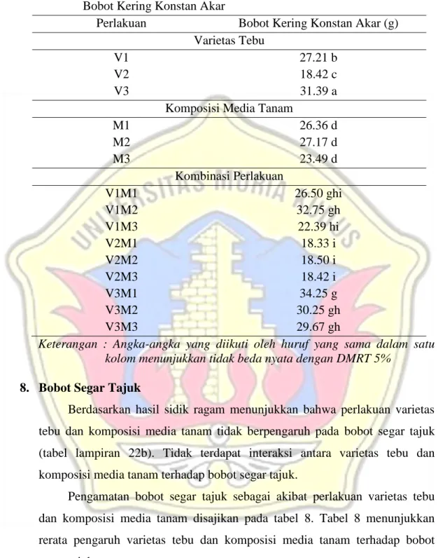 Tabel  7.  Pengaruh  Varietas  Tebu  dan  Komposisi  Media  Tanam  Terhadap  Bobot Kering Konstan Akar