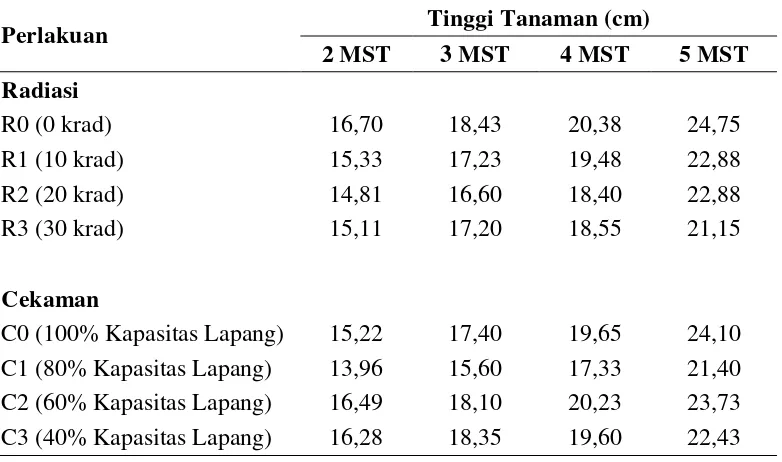 Tabel 2. Rataan tinggi tanaman pada 2 MST, 3 MST, 4MST, 5MST dengan perlakuan radiasi sinar gamma dan cekaman kekeringan 