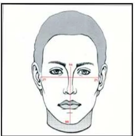 Gambar 8. Titik-titik yang diperlukan dalam pengukuran tipe wajah (foto frontal).10 