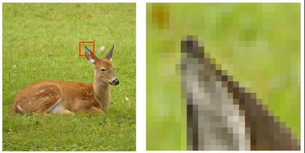 Gambar 2.1 Pixel Dalam Citra Digitial  Sumber: https://xoppa.github.io/blog/pixels/ 