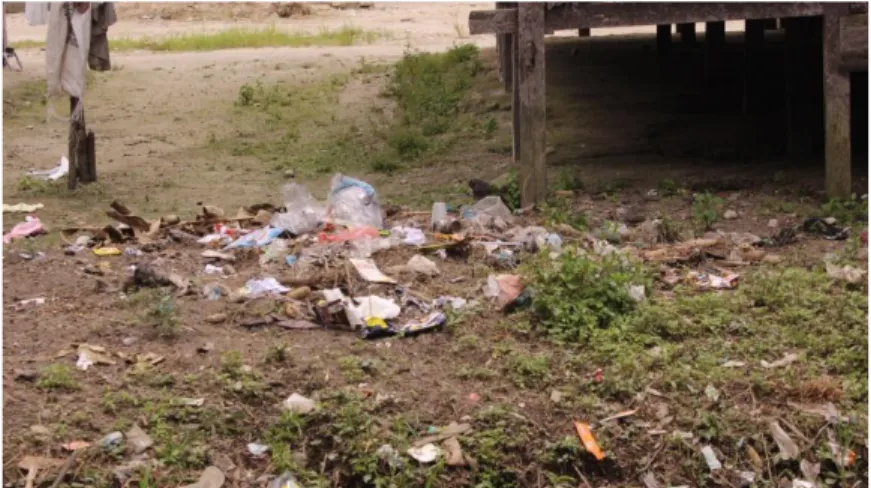 Gambar 6: Sampah yang berada di belakang rumah  Sumber: Dokumentasi pribadi 