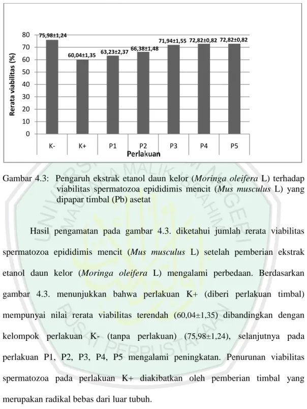 Gambar  4.3:    Pengaruh  ekstrak  etanol  daun  kelor  (Moringa  oleifera  L)  terhadap  viabilitas  spermatozoa  epididimis  mencit  (Mus  musculus  L)  yang  dipapar timbal (Pb) asetat 