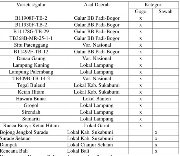 Tabel 1.  Bahan tanaman yang digunakan dalam penelitian  