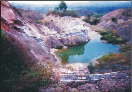 Gambar 6. Lapisan batubara Formasi Tanjung di daerah Jorong.