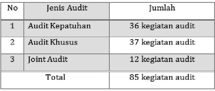 Tabel 11.  Klasifikasi Jenis Audit Tahun 2013