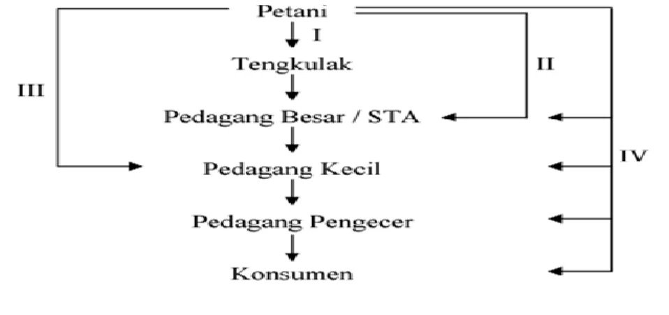 Gambar 4.1 Pemasaran Kunyit Kuning 