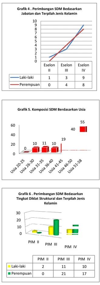 Grafik 5. Komposisi SDM Berdasarkan Usia