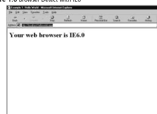 Figure 1.7 Browser Detect with Netscape 6.0