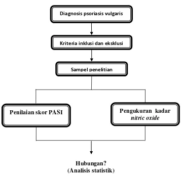 Gambar 3.1 Diagram Kerangka Operasional Penelitian 