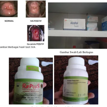 Gambar Obat Herbal Pencegah Kanker 