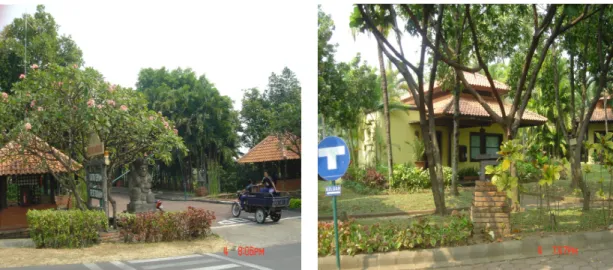 Gambar 2.9. Kawasan Cottage     
