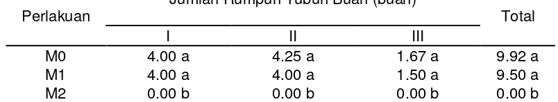 Tabel 5. Rataan jumlah rumpun tubuh buah jamur tiram putih panen I sampai dengan III dalam hubungannya dengan jenis media tanam