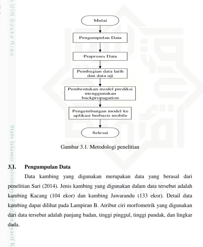 Gambar 3.1. Metodologi penelitian 