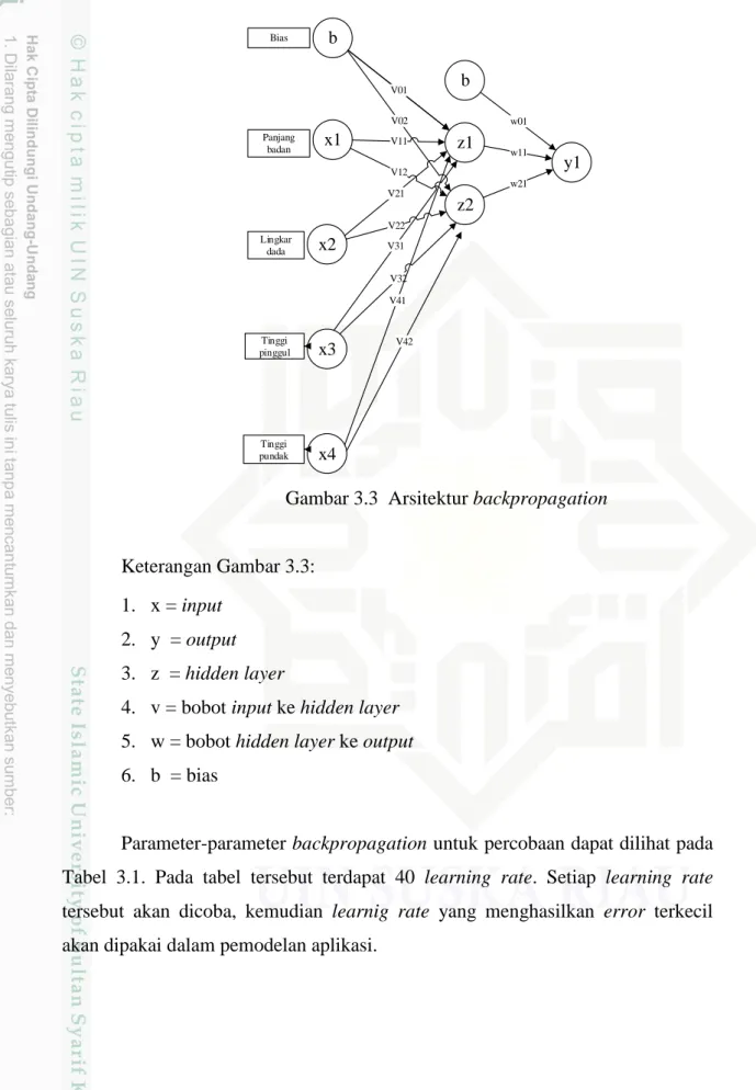 Gambar 3.3  Arsitektur backpropagation 