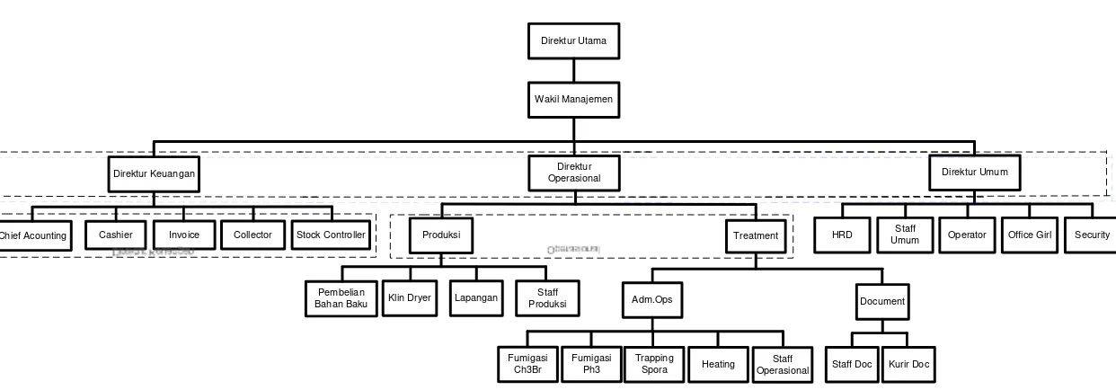 Gambar 2.1. Struktur Organisasi PT. Carsurindo Siperkas 