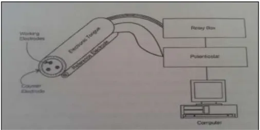 Gambar 2. Skema diagram sensor rasa berdasar voltametrik (Ivarsson et al, 2001) 