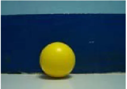 Gambar 3.4 Citra RGB Original 