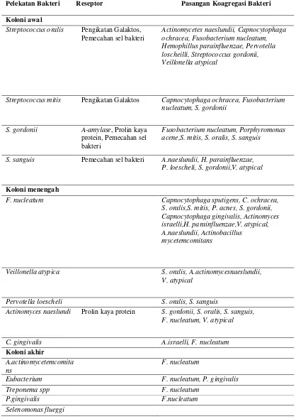Tabel 1. Keterlibatan bakteri pada kolonisasi plak dental 