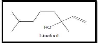 Gambar 3.Struktur kimia Linalool20  