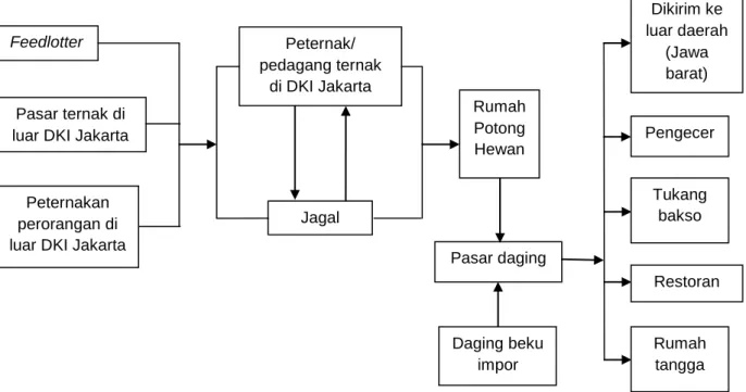 Gambar 1. Rantai pasok pemasaran ternak dan daging sapi di DKI JakartaDaging beku 