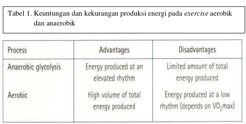 Tabel 1. Keuntungan dan kekurangan produksi energi pada exercise aerobik     