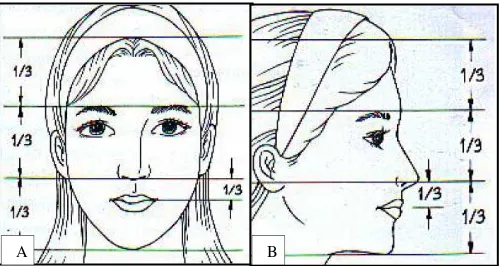 Gambar 8. Proporsi tinggi wajah seimbang (A) pandangan frontal, (B) pandanganlateral.1 
