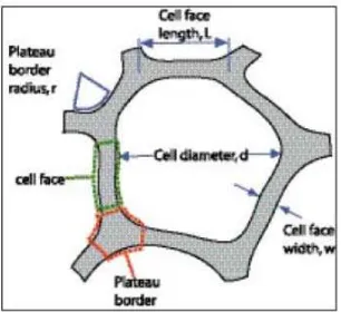 Gambar 2.12 : Terminologi dan notasi struktur sel(John Banhart, Advance 