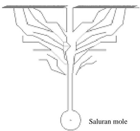 Gambar 3. Retakan yang terbentuk pada drainase mole  (Smart dan Herbertson, 1992). 