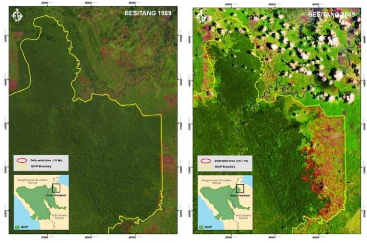 Gambar 2. Peta Citra Landsat SPTN VI Tahun 1989 dan 2009 