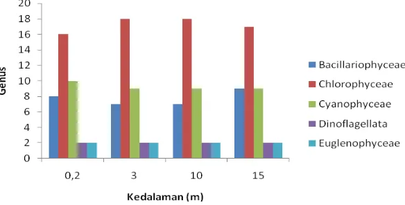 Gambar 2.  Jumlah genera fitoplankton berdasarkan kelas yang ditemukan pada seluruh stasiun dan kedalaman pengamatan