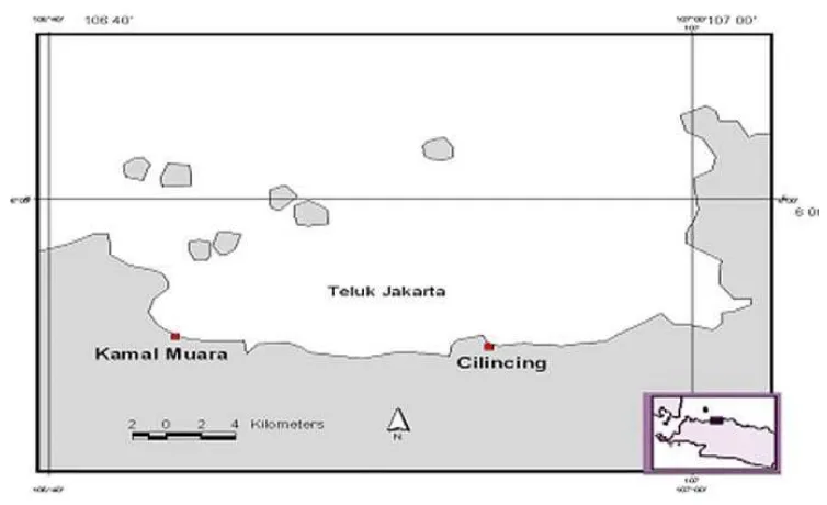 Gambar 1.  Lokasi Penelitian di Perairan Teluk Jakarta